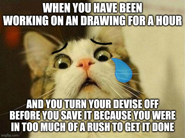 EXTREMELY Reliable For Me :[ | WHEN YOU HAVE BEEN WORKING ON AN DRAWING FOR A HOUR; AND YOU TURN YOUR DEVISE OFF BEFORE YOU SAVE IT BECAUSE YOU WERE IN TOO MUCH OF A RUSH TO GET IT DONE | image tagged in scared cat,oh shit | made w/ Imgflip meme maker