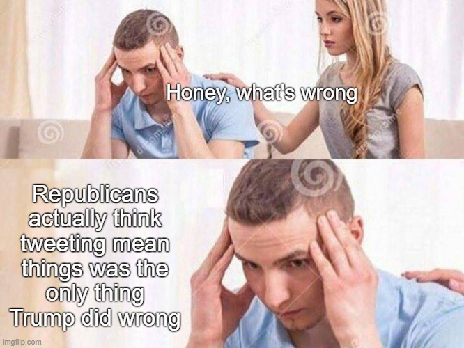Republicans are insane | Honey, what's wrong; Republicans actually think
tweeting mean
things was the
only thing Trump did wrong | image tagged in honey whats wrong,conservative logic,trump,donald trump,mean tweets,republicans | made w/ Imgflip meme maker