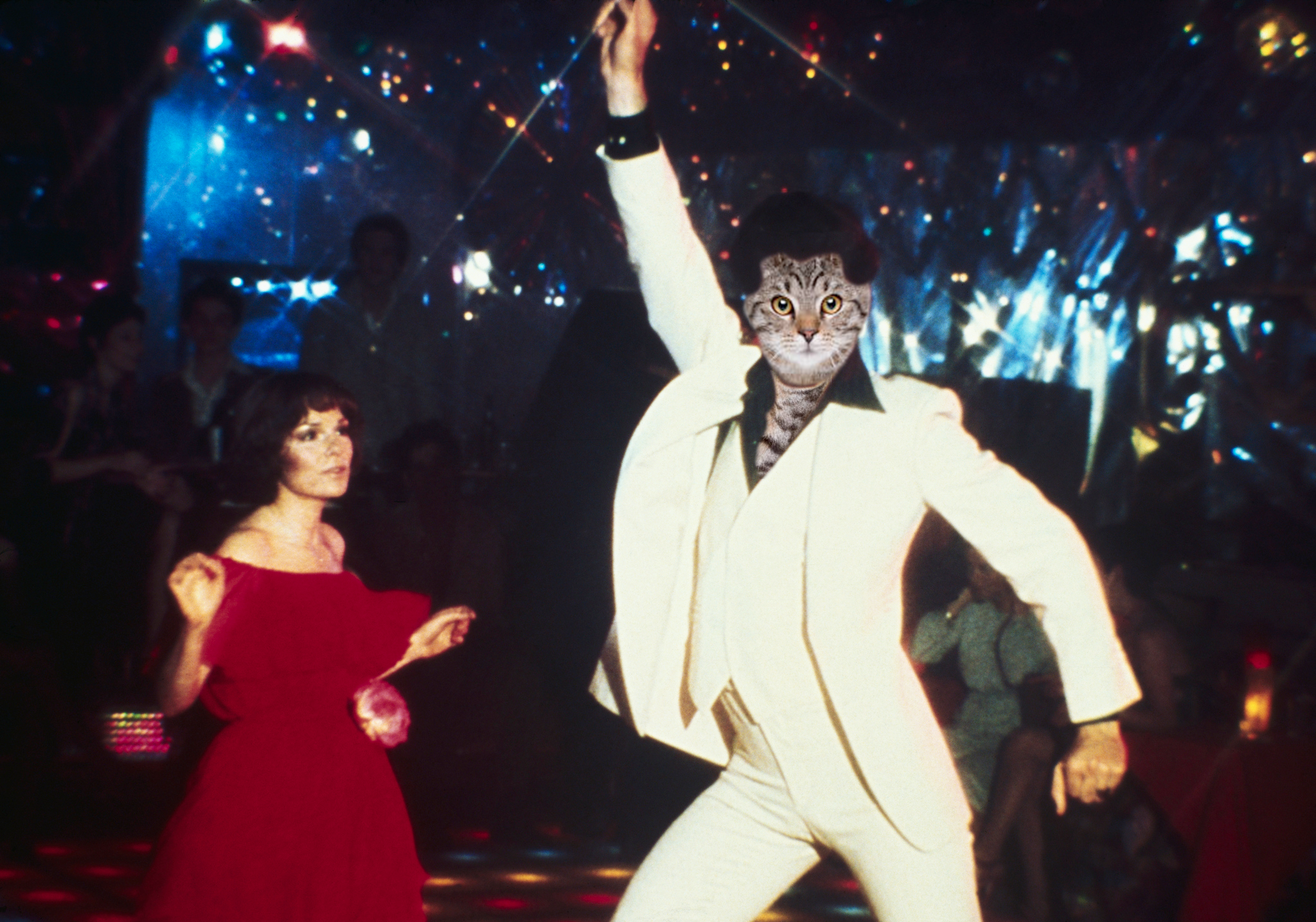 High Quality Saturday night fever Blank Meme Template