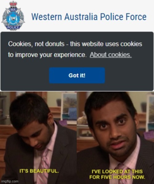 Cookies not donuts | image tagged in i've looked at this for 5 hours now | made w/ Imgflip meme maker