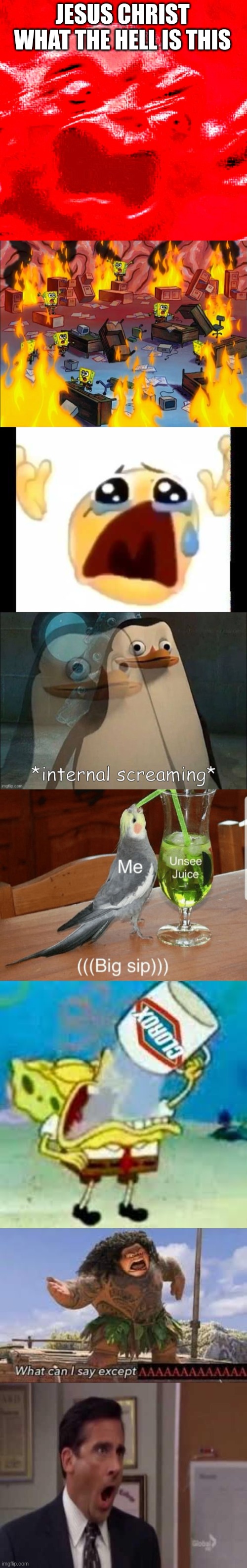 JESUS CHRIST WHAT THE HELL IS THIS | image tagged in very loud screaming,spongebob fire,cursed crying emoji,private internal screaming,unsee juice,spongebob chugs bleach | made w/ Imgflip meme maker