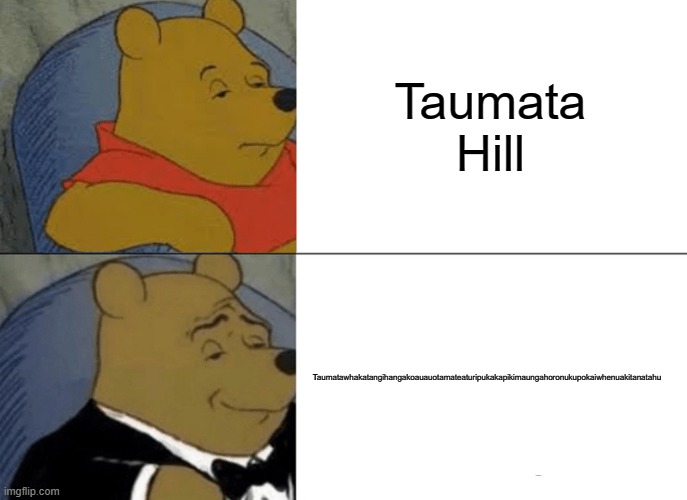 Tuxedo Winnie The Pooh Meme | Taumata Hill; Taumatawhakatangihangakoauauotamateaturipukakapikimaungahoronukupokaiwhenuakitanatahu | image tagged in memes,tuxedo winnie the pooh | made w/ Imgflip meme maker