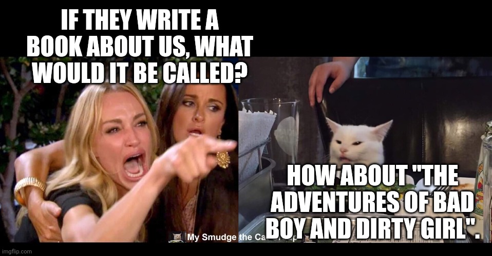 IF THEY WRITE A BOOK ABOUT US, WHAT WOULD IT BE CALLED? HOW ABOUT "THE ADVENTURES OF BAD BOY AND DIRTY GIRL". | image tagged in smudge the cat | made w/ Imgflip meme maker