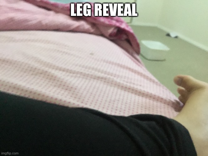 LEG REVEAL | made w/ Imgflip meme maker