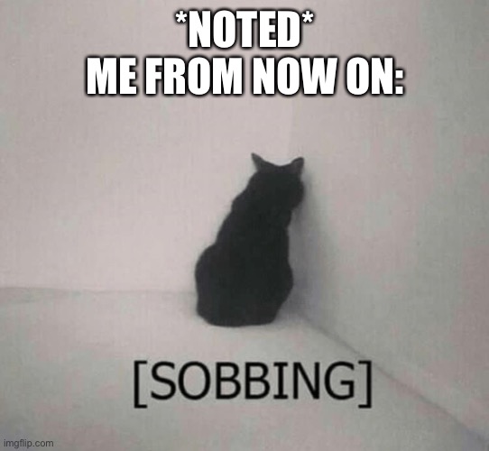 Sobbing cat | *NOTED*
ME FROM NOW ON: | image tagged in sobbing cat | made w/ Imgflip meme maker