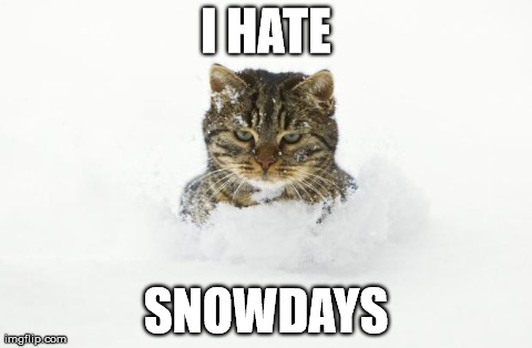 I HATE SNOWDAYS | image tagged in i hate snowdays | made w/ Imgflip meme maker