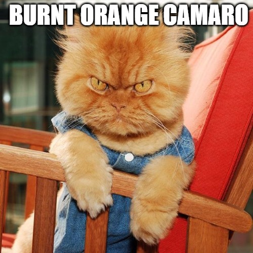 2022 model | BURNT ORANGE CAMARO | image tagged in garfi the angry cat | made w/ Imgflip meme maker