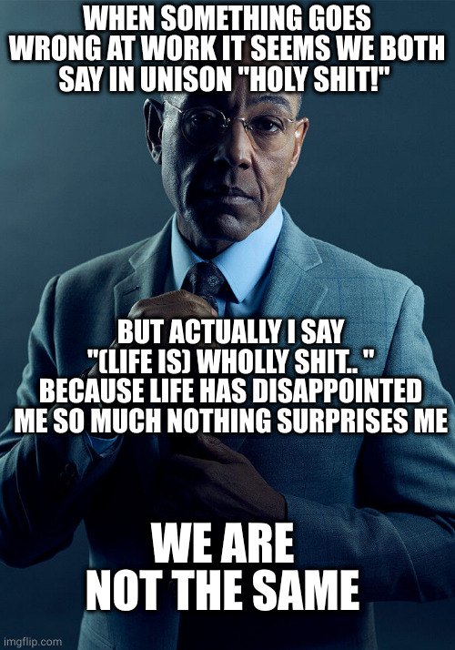 Gus Fring we are not the same | WHEN SOMETHING GOES WRONG AT WORK IT SEEMS WE BOTH SAY IN UNISON "HOLY SHIT!"; BUT ACTUALLY I SAY "(LIFE IS) WHOLLY SHIT.. " BECAUSE LIFE HAS DISAPPOINTED ME SO MUCH NOTHING SURPRISES ME; WE ARE NOT THE SAME | image tagged in gus fring we are not the same,2meirl4meirl | made w/ Imgflip meme maker