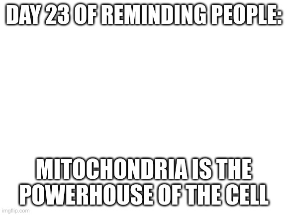 day 23 |  DAY 23 OF REMINDING PEOPLE:; MITOCHONDRIA IS THE POWERHOUSE OF THE CELL | image tagged in blank white template | made w/ Imgflip meme maker