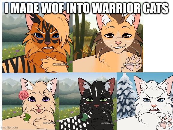 So what you guys think? | I MADE WOF INTO WARRIOR CATS | image tagged in blank white template | made w/ Imgflip meme maker