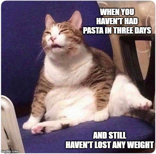 life is pain | WHEN YOU HAVEN'T HAD PASTA IN THREE DAYS; AND STILL HAVEN'T LOST ANY WEIGHT | image tagged in fat cat,low carb,failure | made w/ Imgflip meme maker