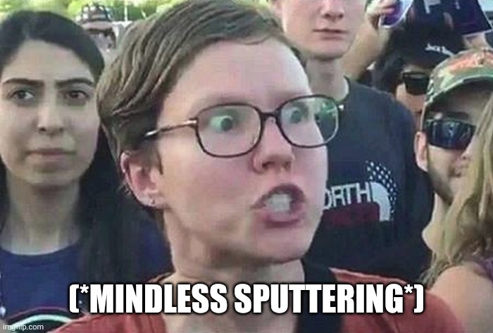 Triggered Liberal | (*MINDLESS SPUTTERING*) | image tagged in triggered liberal | made w/ Imgflip meme maker