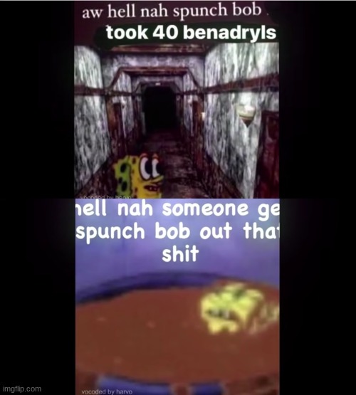 spunch bob | image tagged in spunch bob,shitpost,memes,unfunny,oh wow are you actually reading these tags,stop reading the tags | made w/ Imgflip meme maker