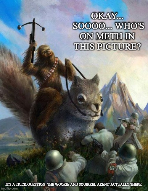 Let's play a game | OKAY...
 SOOOO... WHO'S ON METH IN THIS PICTURE? IT'S A TRICK QUESTION -THE WOOKIE AND SQUIRREL ARENT' ACTUALLY THERE. | image tagged in wookie riding a squirrel killing nazis your argument is invalid,meth | made w/ Imgflip meme maker