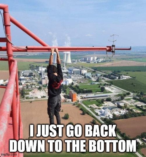 Lattice Climbing | I JUST GO BACK DOWN TO THE BOTTOM | image tagged in lattice climbing | made w/ Imgflip meme maker