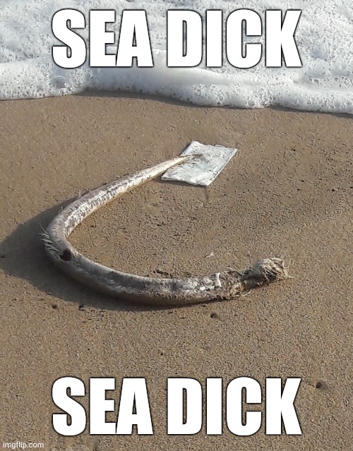 . | SEA DICK; SEA DICK | made w/ Imgflip meme maker