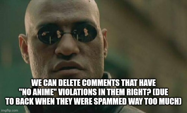 @owner | WE CAN DELETE COMMENTS THAT HAVE "NO ANIME" VIOLATIONS IN THEM RIGHT? (DUE TO BACK WHEN THEY WERE SPAMMED WAY TOO MUCH) | image tagged in memes,matrix morpheus | made w/ Imgflip meme maker