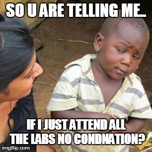 Third World Skeptical Kid Meme | SO U ARE TELLING ME.. IF I JUST ATTEND ALL THE LABS NO CONDNATION? | image tagged in memes,third world skeptical kid | made w/ Imgflip meme maker