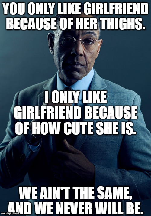Gus Fring we are not the same |  YOU ONLY LIKE GIRLFRIEND BECAUSE OF HER THIGHS. I ONLY LIKE GIRLFRIEND BECAUSE OF HOW CUTE SHE IS. WE AIN'T THE SAME, AND WE NEVER WILL BE. | image tagged in gus fring we are not the same,memes,friday night funkin | made w/ Imgflip meme maker
