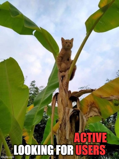 e | ACTIVE USERS | image tagged in looking for funny | made w/ Imgflip meme maker