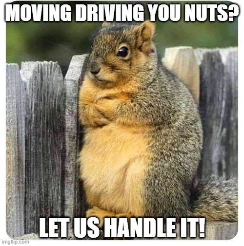 ANNOYED SQUIRREL | MOVING DRIVING YOU NUTS? LET US HANDLE IT! | image tagged in annoyed squirrel | made w/ Imgflip meme maker