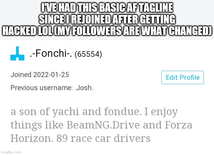 Ah yes, race car drivers | I'VE HAD THIS BASIC AF TAGLINE SINCE I REJOINED AFTER GETTING HACKED LOL (MY FOLLOWERS ARE WHAT CHANGED) | made w/ Imgflip meme maker