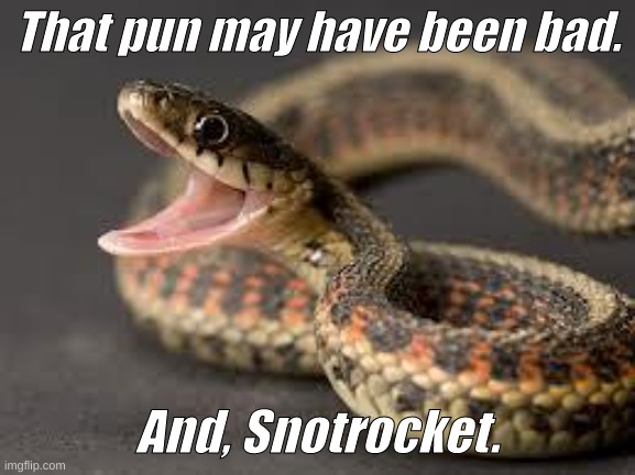 Warning Snake | That pun may have been bad. And, Snotrocket. | image tagged in warning snake | made w/ Imgflip meme maker