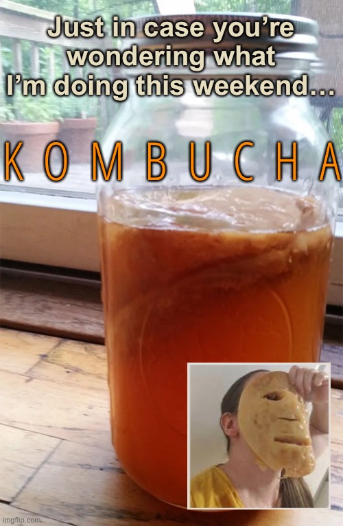 Weird Science | Just in case you’re wondering what I’m doing this weekend…; K  O  M  B  U  C  H  A | image tagged in memes,kombucha facial,also i will probably get drunk | made w/ Imgflip meme maker