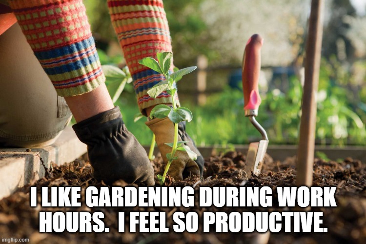 Gardening during work | I LIKE GARDENING DURING WORK HOURS.  I FEEL SO PRODUCTIVE. | image tagged in gardening | made w/ Imgflip meme maker