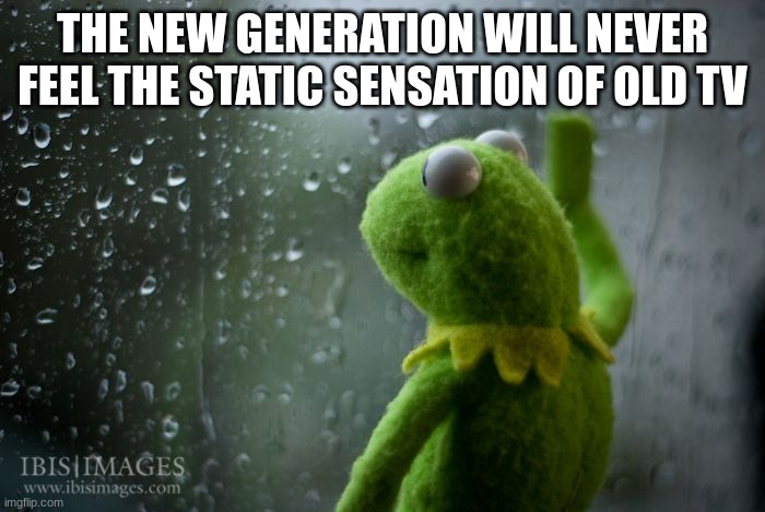 kermit window | THE NEW GENERATION WILL NEVER FEEL THE STATIC SENSATION OF OLD TV | image tagged in kermit window,sad | made w/ Imgflip meme maker