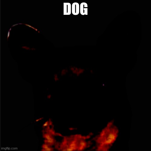 dog? | DOG | image tagged in evil,dog | made w/ Imgflip meme maker