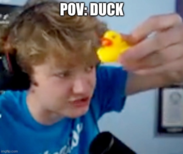 A nice s**tpost to start my day | POV: DUCK | image tagged in tommyinnit | made w/ Imgflip meme maker