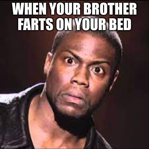 Fart meme | WHEN YOUR BROTHER FARTS ON YOUR BED | image tagged in fart | made w/ Imgflip meme maker