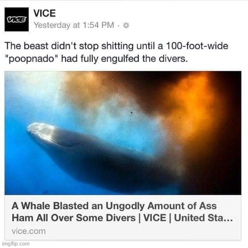 ass ham | made w/ Imgflip meme maker