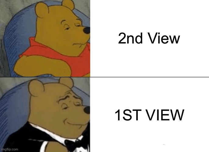 Tuxedo Winnie The Pooh Meme | 2nd View 1ST VIEW | image tagged in memes,tuxedo winnie the pooh | made w/ Imgflip meme maker