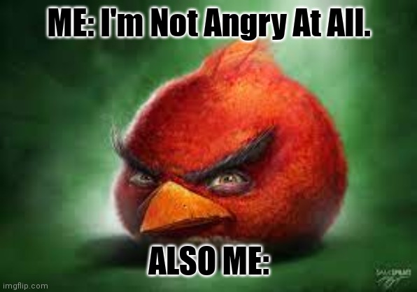This Is Quite The Relatable Birb | ME: I'm Not Angry At All. ALSO ME: | image tagged in realistic red angry birds,simothefinlandized,anger,relatable memes | made w/ Imgflip meme maker