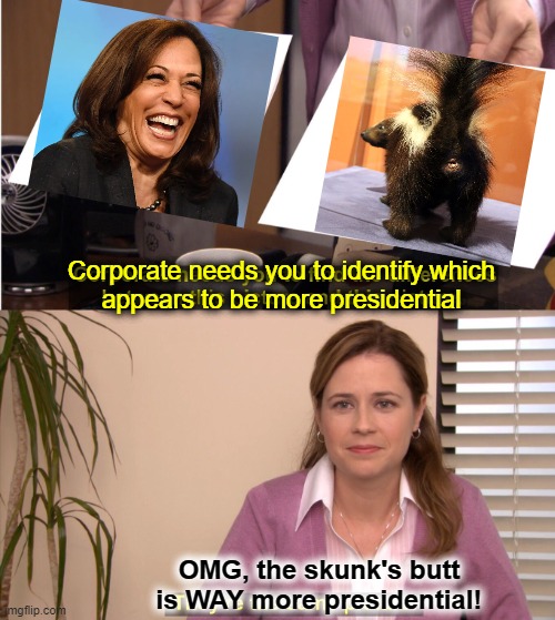 They're NOT the same picture! | Corporate needs you to identify which
appears to be more presidential; OMG, the skunk's butt is WAY more presidential! | image tagged in memes,skunk,kamala harris,presidential,cackle,democrats | made w/ Imgflip meme maker