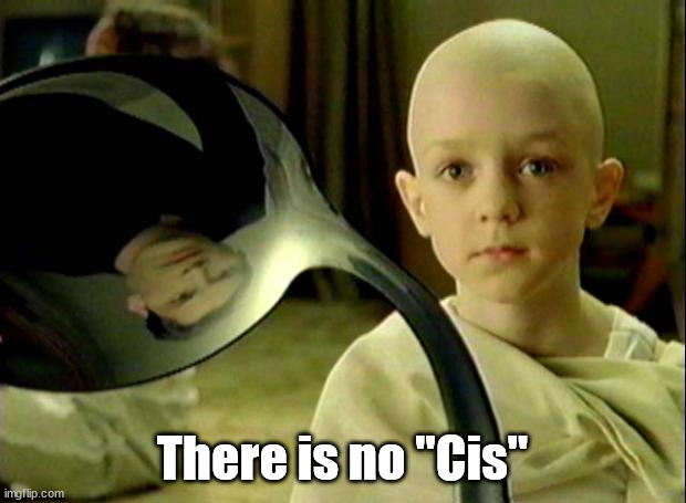 There is no "Cis |  There is no "Cis" | image tagged in spoon matrix | made w/ Imgflip meme maker