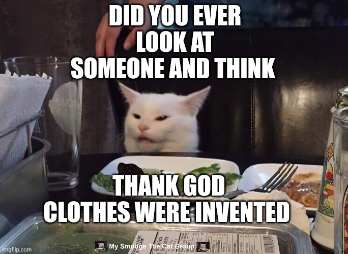 DID YOU EVER LOOK AT SOMEONE AND THINK; THANK GOD CLOTHES WERE INVENTED | image tagged in smudge the cat | made w/ Imgflip meme maker