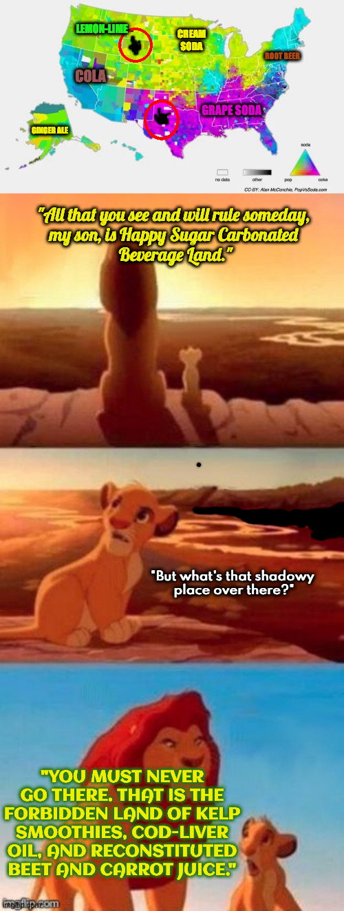 Simba's Domain | LEMON-LIME; CREAM SODA; ROOT BEER; COLA; GRAPE SODA; GINGER ALE; "All that you see and will rule someday, 
my son, is Happy Sugar Carbonated 
Beverage Land."; "But what's that shadowy 
place over there?"; "YOU MUST NEVER GO THERE. THAT IS THE FORBIDDEN LAND OF KELP SMOOTHIES, COD-LIVER OIL, AND RECONSTITUTED BEET AND CARROT JUICE." | image tagged in map,simba shadowy place blank | made w/ Imgflip meme maker