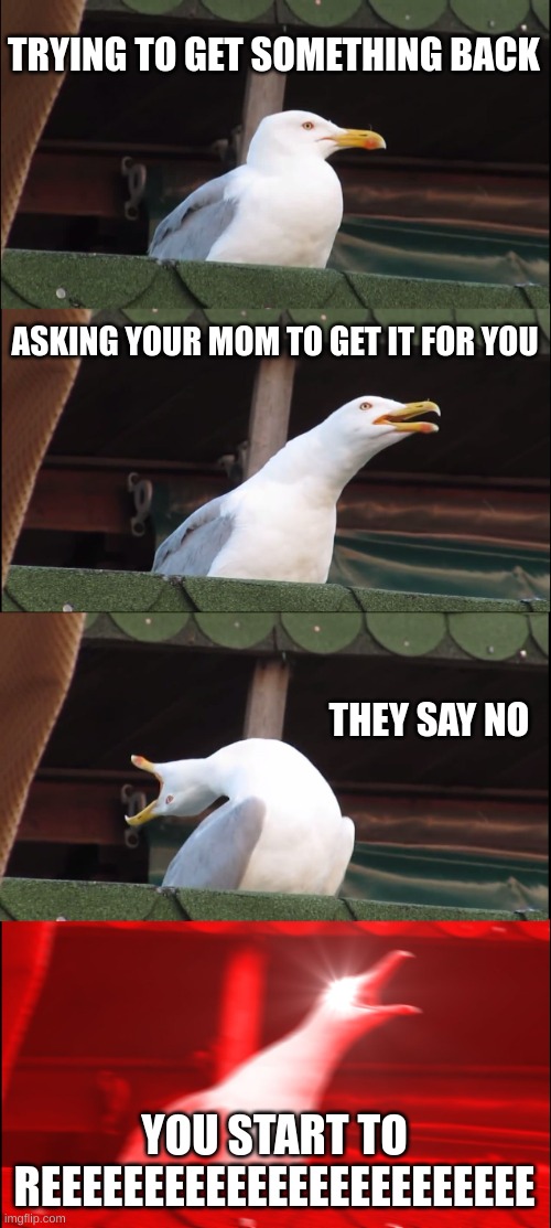 Inhaling Seagull | TRYING TO GET SOMETHING BACK; ASKING YOUR MOM TO GET IT FOR YOU; THEY SAY NO; YOU START TO REEEEEEEEEEEEEEEEEEEEEEEE | image tagged in memes,inhaling seagull | made w/ Imgflip meme maker