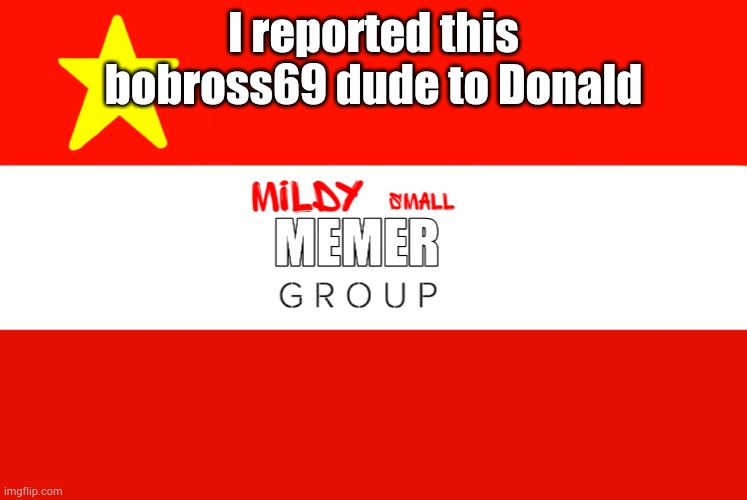 MSmg flag | I reported this bobross69 dude to Donald | image tagged in msmg flag | made w/ Imgflip meme maker