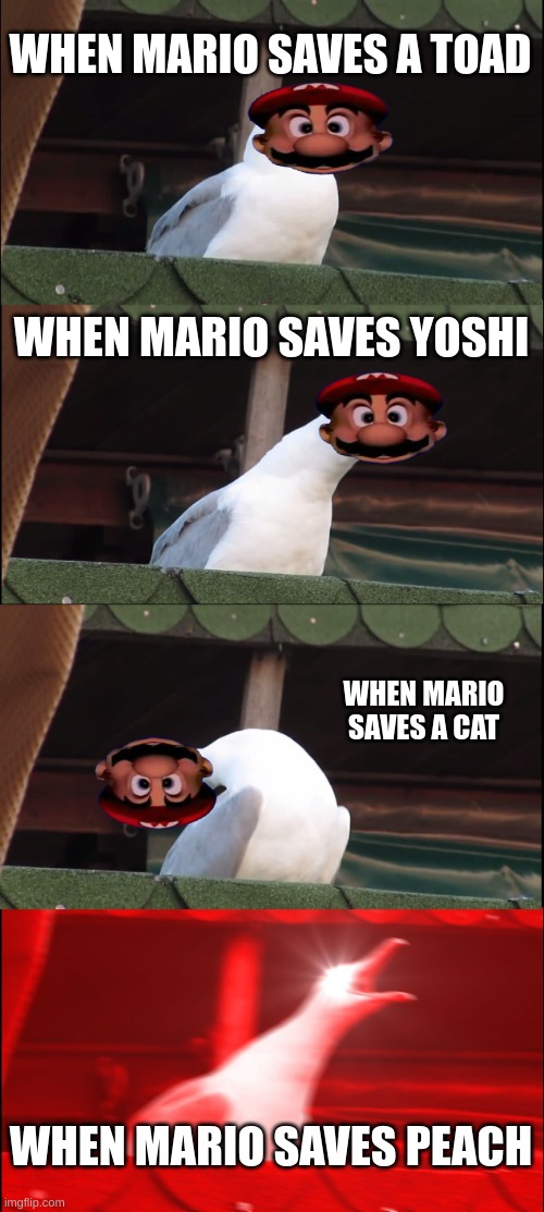 Inhaling Seagull Meme | WHEN MARIO SAVES A TOAD; WHEN MARIO SAVES YOSHI; WHEN MARIO SAVES A CAT; WHEN MARIO SAVES PEACH | image tagged in memes,inhaling seagull | made w/ Imgflip meme maker