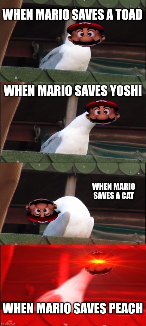 Inhaling Seagull Meme | WHEN MARIO SAVES A TOAD; WHEN MARIO SAVES YOSHI; WHEN MARIO SAVES A CAT; WHEN MARIO SAVES PEACH | image tagged in memes,inhaling seagull | made w/ Imgflip meme maker