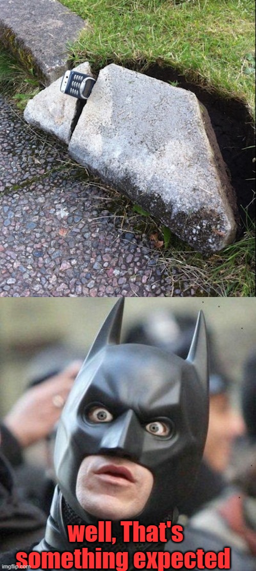 well, That's something expected | image tagged in shocked batman | made w/ Imgflip meme maker