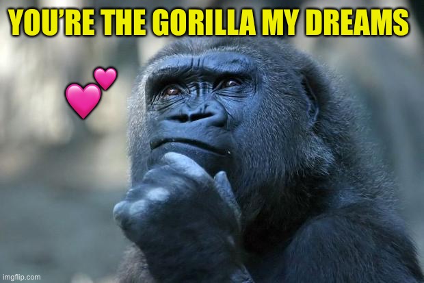 Deep Thoughts | YOU’RE THE GORILLA MY DREAMS ? | image tagged in deep thoughts | made w/ Imgflip meme maker