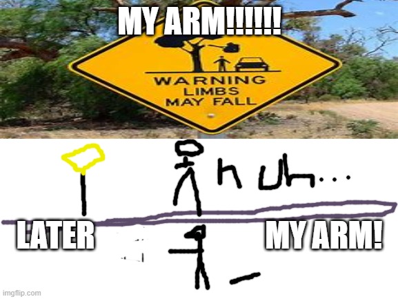 my armm | MY ARM!!!!!! LATER                            MY ARM! | image tagged in blank white template,drawing | made w/ Imgflip meme maker