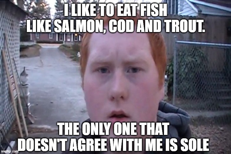 Gingers have fish but no "Sole" lol | I LIKE TO EAT FISH LIKE SALMON, COD AND TROUT. THE ONLY ONE THAT DOESN'T AGREE WITH ME IS SOLE | image tagged in gingers | made w/ Imgflip meme maker
