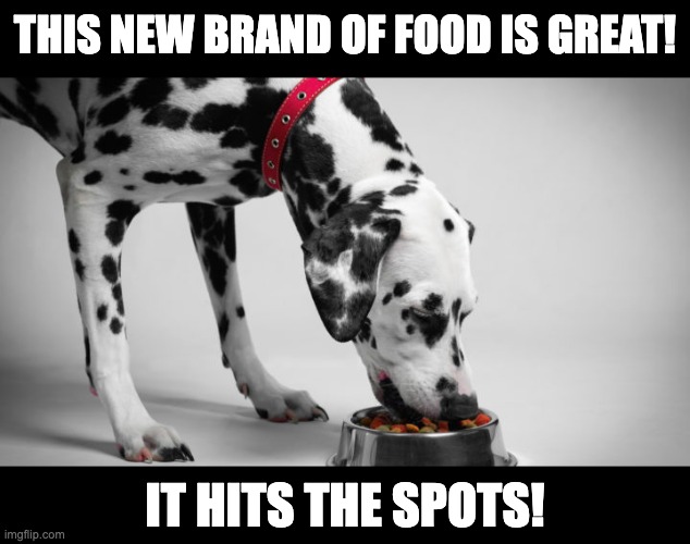 Spot | THIS NEW BRAND OF FOOD IS GREAT! IT HITS THE SPOTS! | image tagged in bad pun dog | made w/ Imgflip meme maker