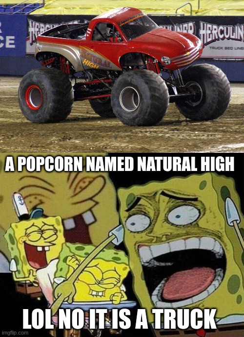 A POPCORN NAMED NATURAL HIGH; LOL NO IT IS A TRUCK | image tagged in spongebob laughing hysterically | made w/ Imgflip meme maker